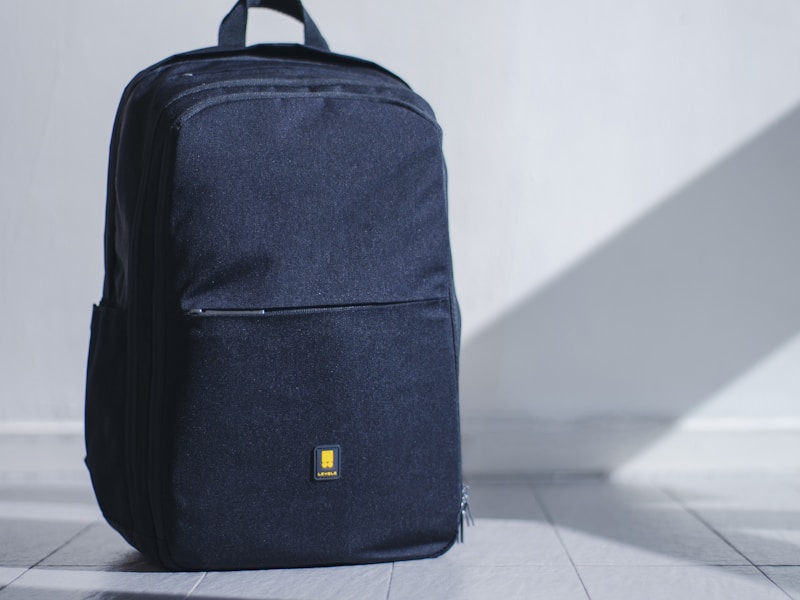 Peak Design Everyday Backpack V2